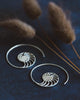 Nautilus Shell Spiral Earrings - Sterling Silver