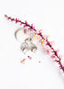 Carly Moonstone Earrings - Sterling Silver