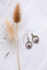 Teresa Moonstone Earrings - Sterling Silver