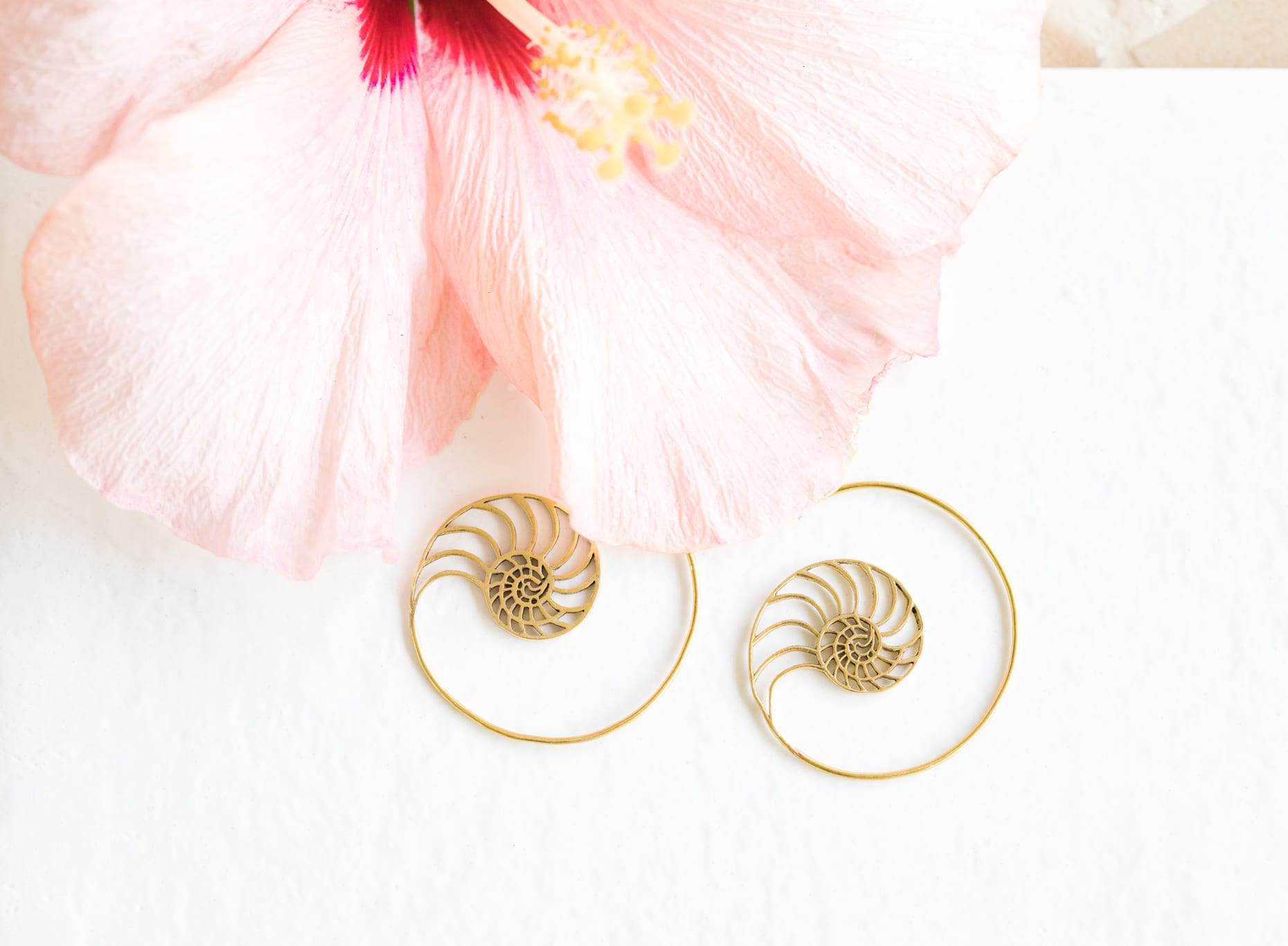 Nautilus Shell Spiral Earrings - Brass – Meelah Collections